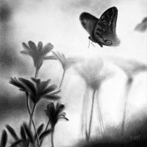 Je volète... par Isael, Dessin en vente sur Singulart