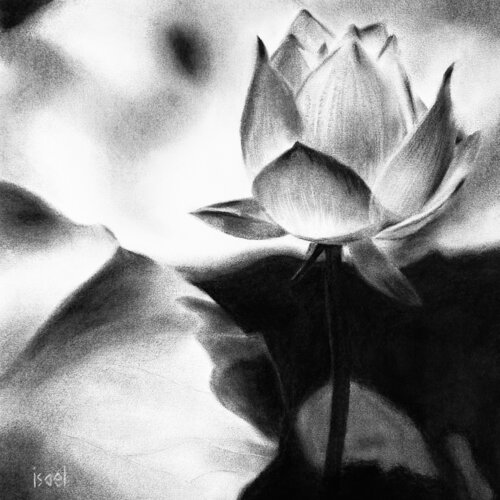 Avant l'éveil... von Isael, Zeichnungen kaufen auf Singulart