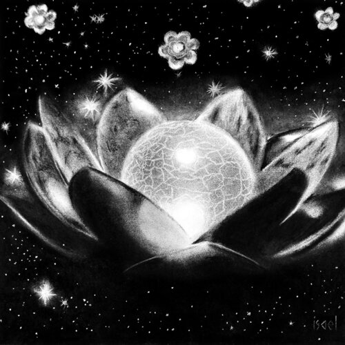 Fleur de lumière Isael