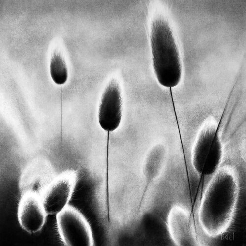 Doux chatons by Isael, 소묘 for Sale on Singulart