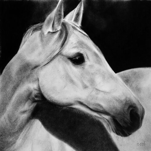 Océane de Isael, Dibujo a la venta en Singulart