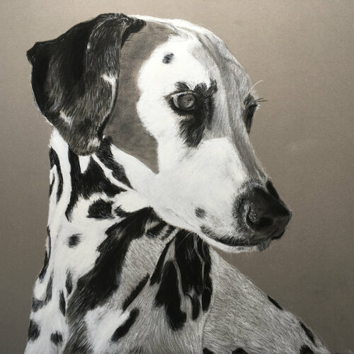 Haïda van Isael, Tekening te koop op Singulart