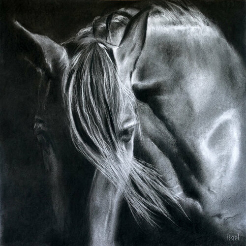 Lucero van Isael, Tekening te koop op Singulart