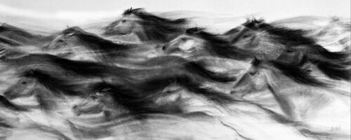 La fuite van Isael, Tekening te koop op Singulart