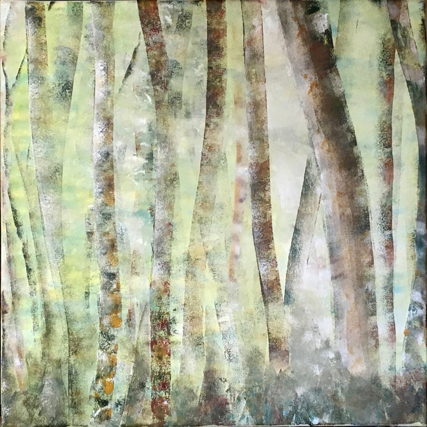 Le printemps Isael