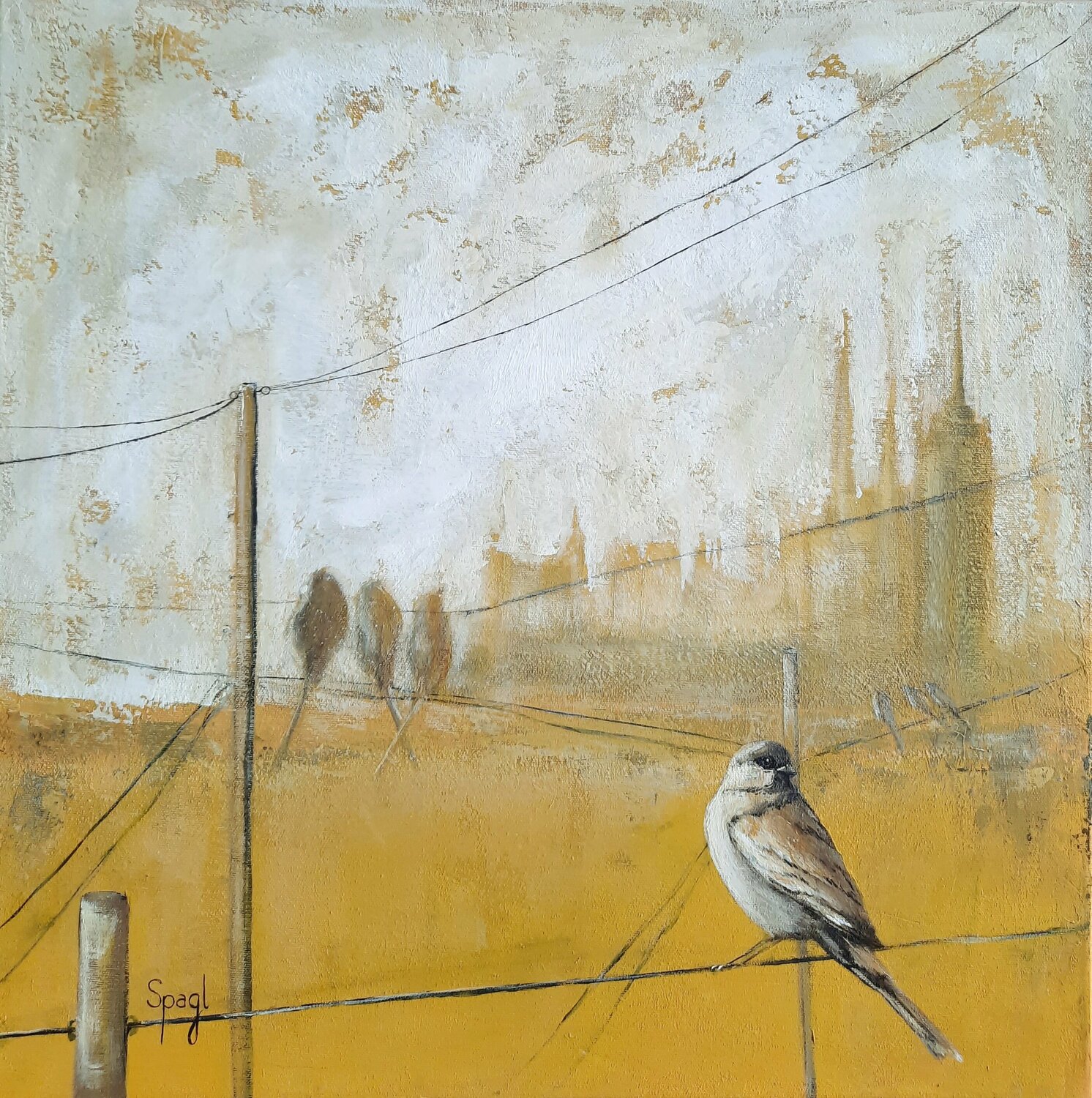 Vogelperspektive (Birdperspektive) Anja Spagl