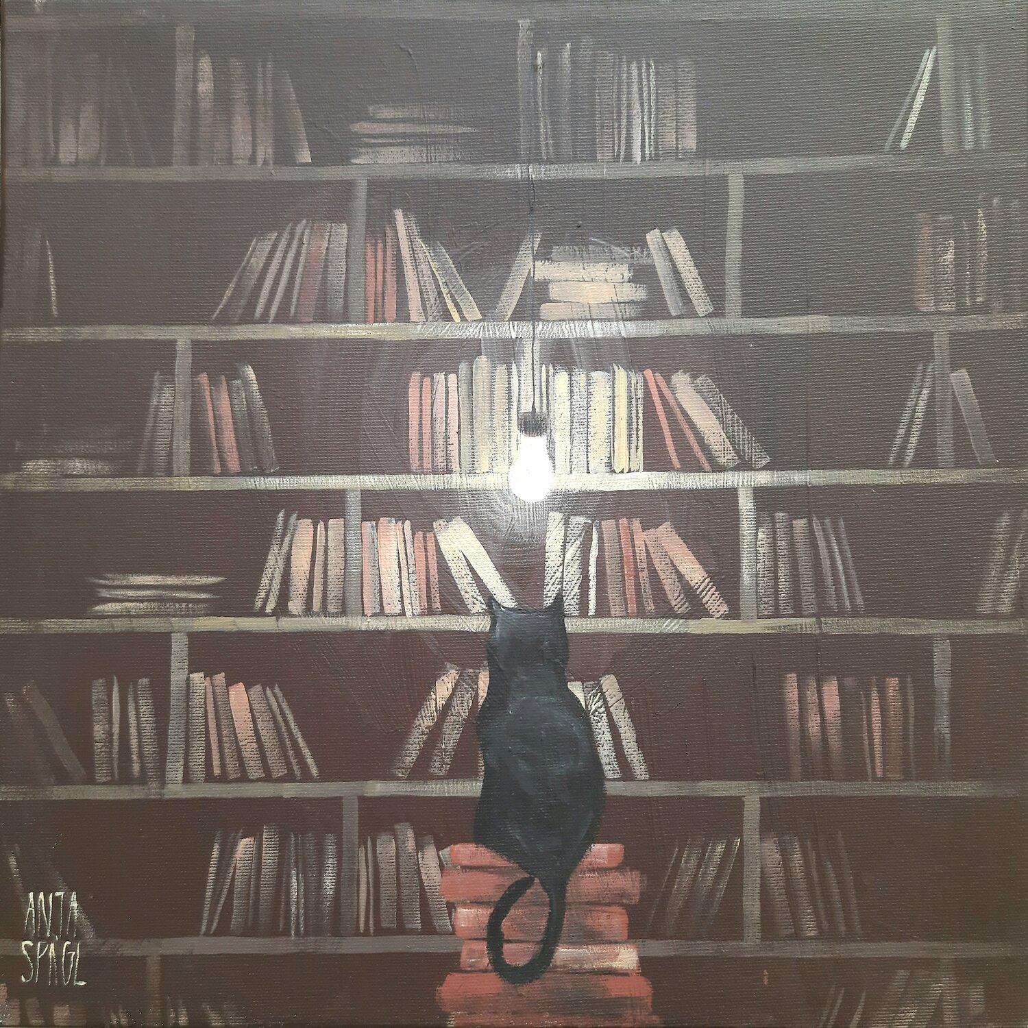 "Book cat" Anja Spagl