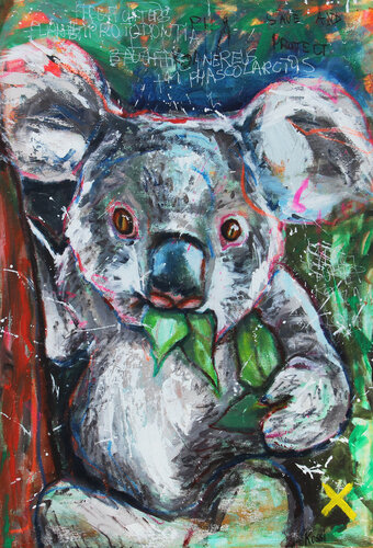 Baby Koala Jimmy van Kristin Kossi, Schilderij te koop op Singulart