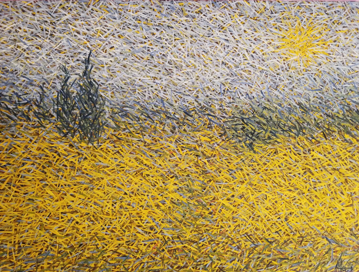Wheat field with cypresses (DIV024) Atom Hovhanesyan