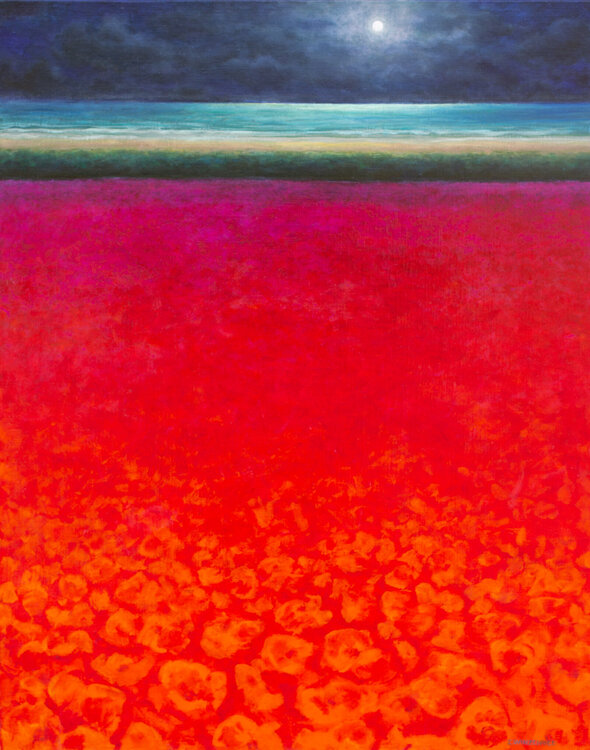 Le champ de la pleine lune Eric Winzenried