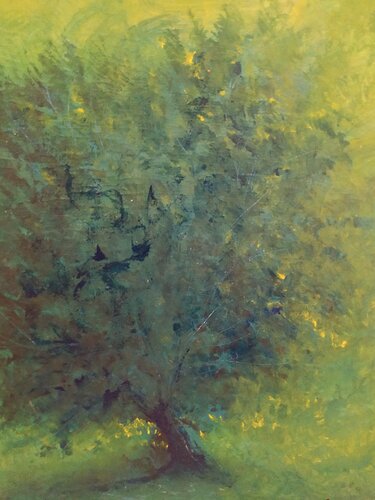 L' ULIVO SECOLARE van Giancarlo Siniscalchi, Schilderij te koop op Singulart