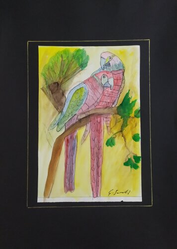 Pappagalli von Giancarlo Siniscalchi, Werk auf Papier kaufen auf Singulart