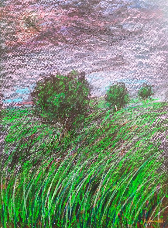 Ulivi Giancarlo Siniscalchi