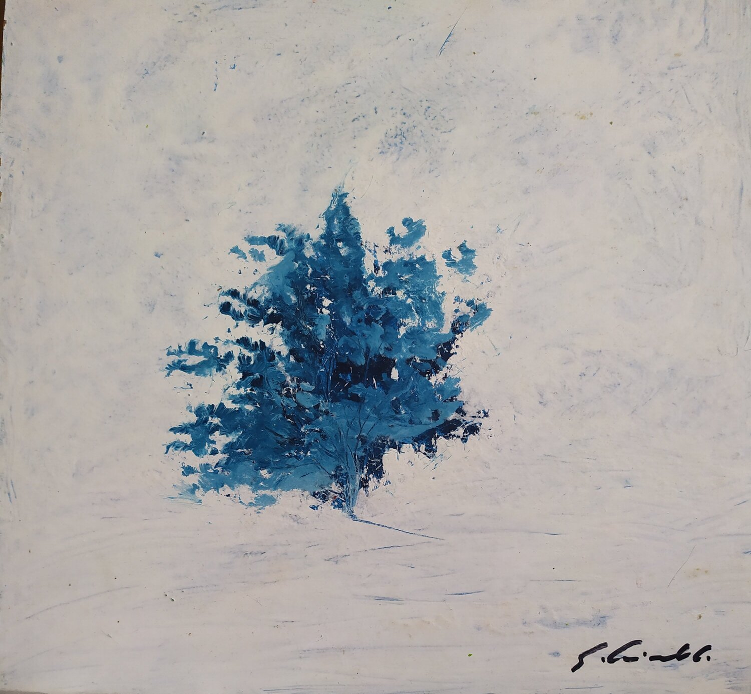 L' albero solitario Giancarlo Siniscalchi
