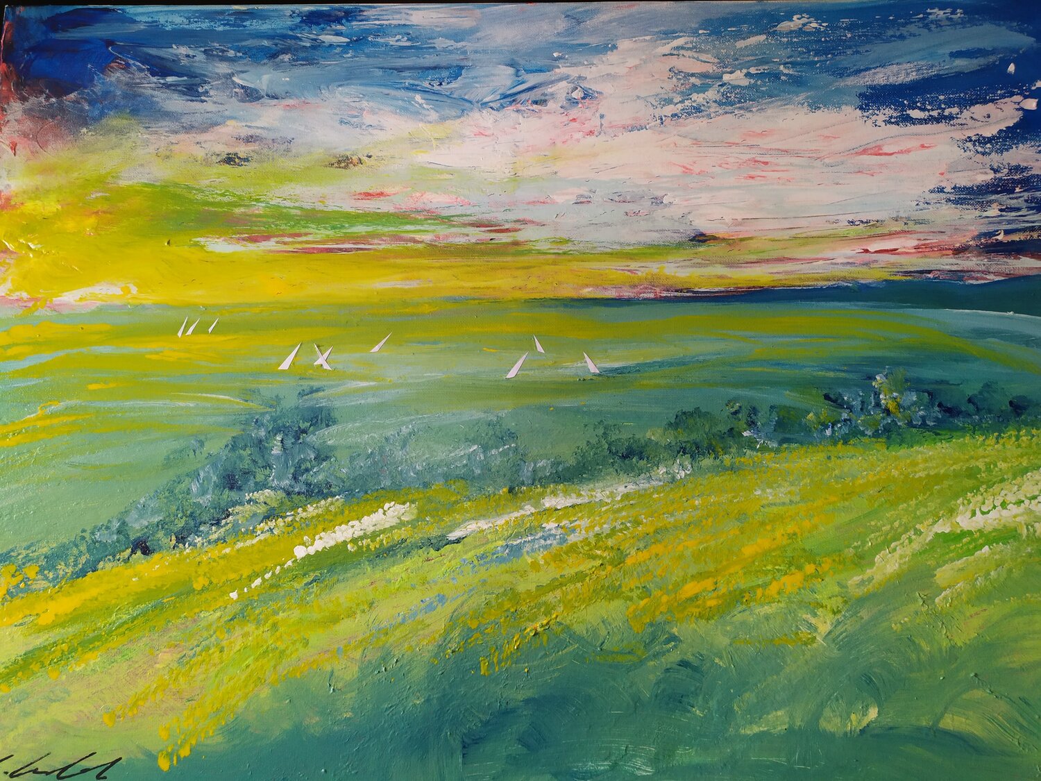 Paesaggio marino in fiore Giancarlo Siniscalchi