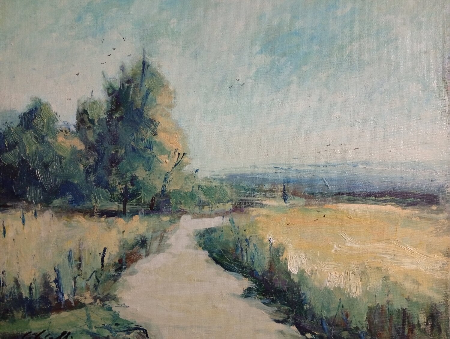 Tepore d'estate.. Giancarlo Siniscalchi