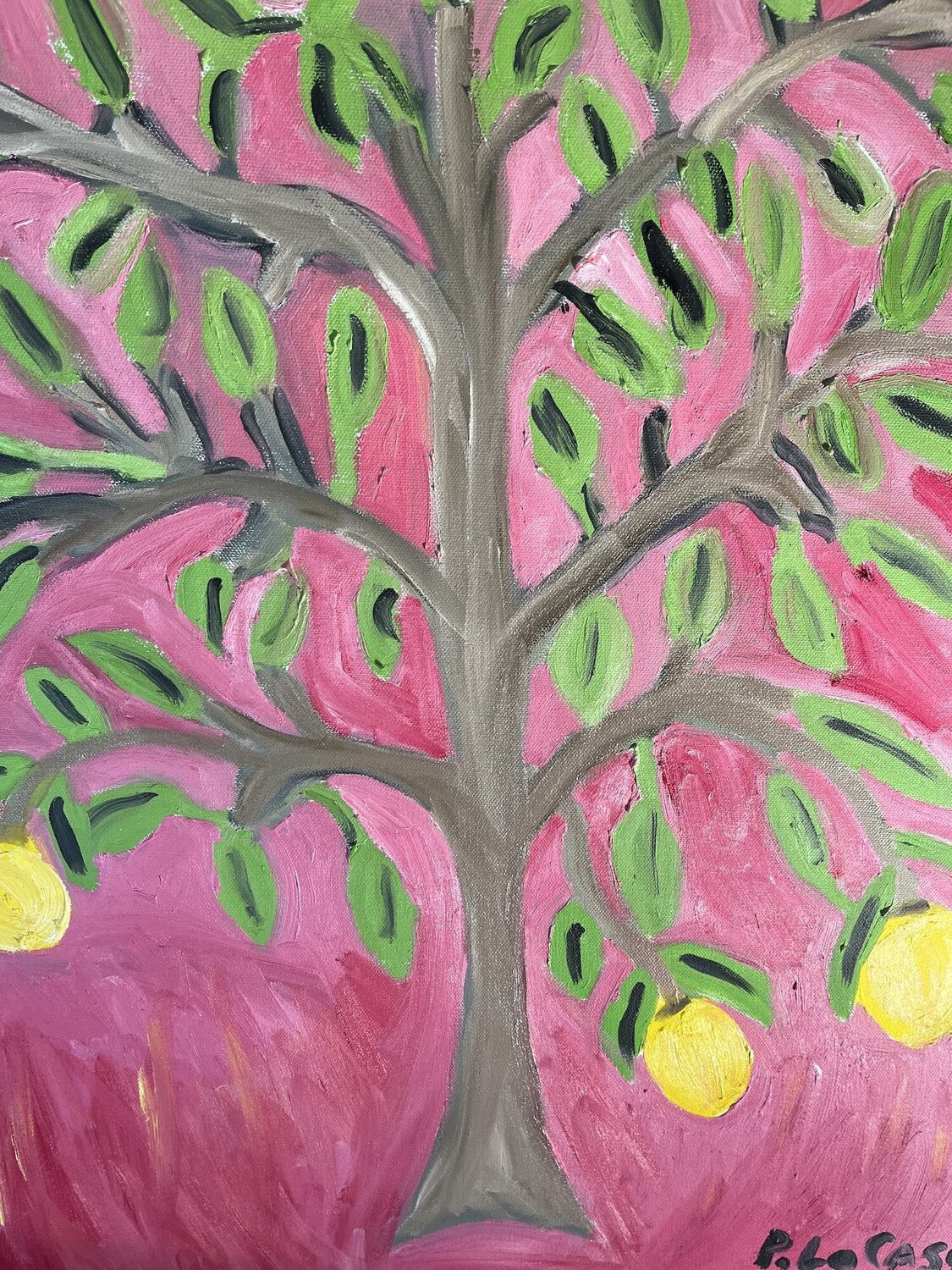 Lemon Tree Peter Locascio