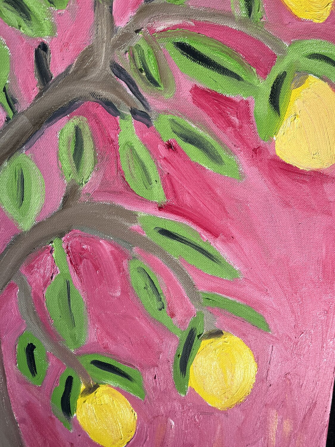 Lemon Tree Peter Locascio