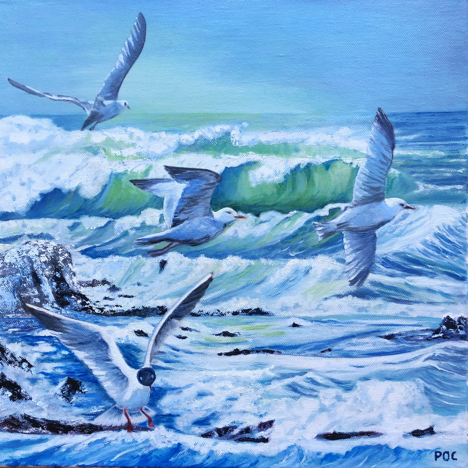 Les mouettes. Odile Pinto-Corbin