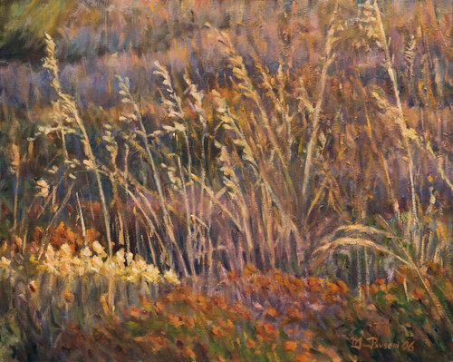 Mediterranean brush at sunrise by Marco Busoni, Painting for Sale on Singulart
