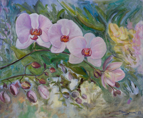 Orchids van Marco Busoni, Schilderij te koop op Singulart