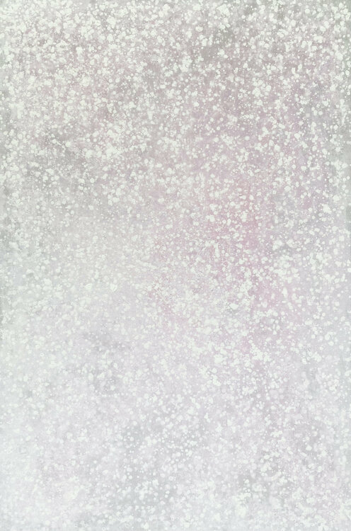 Its Snowing Pink Kathleen Rhee