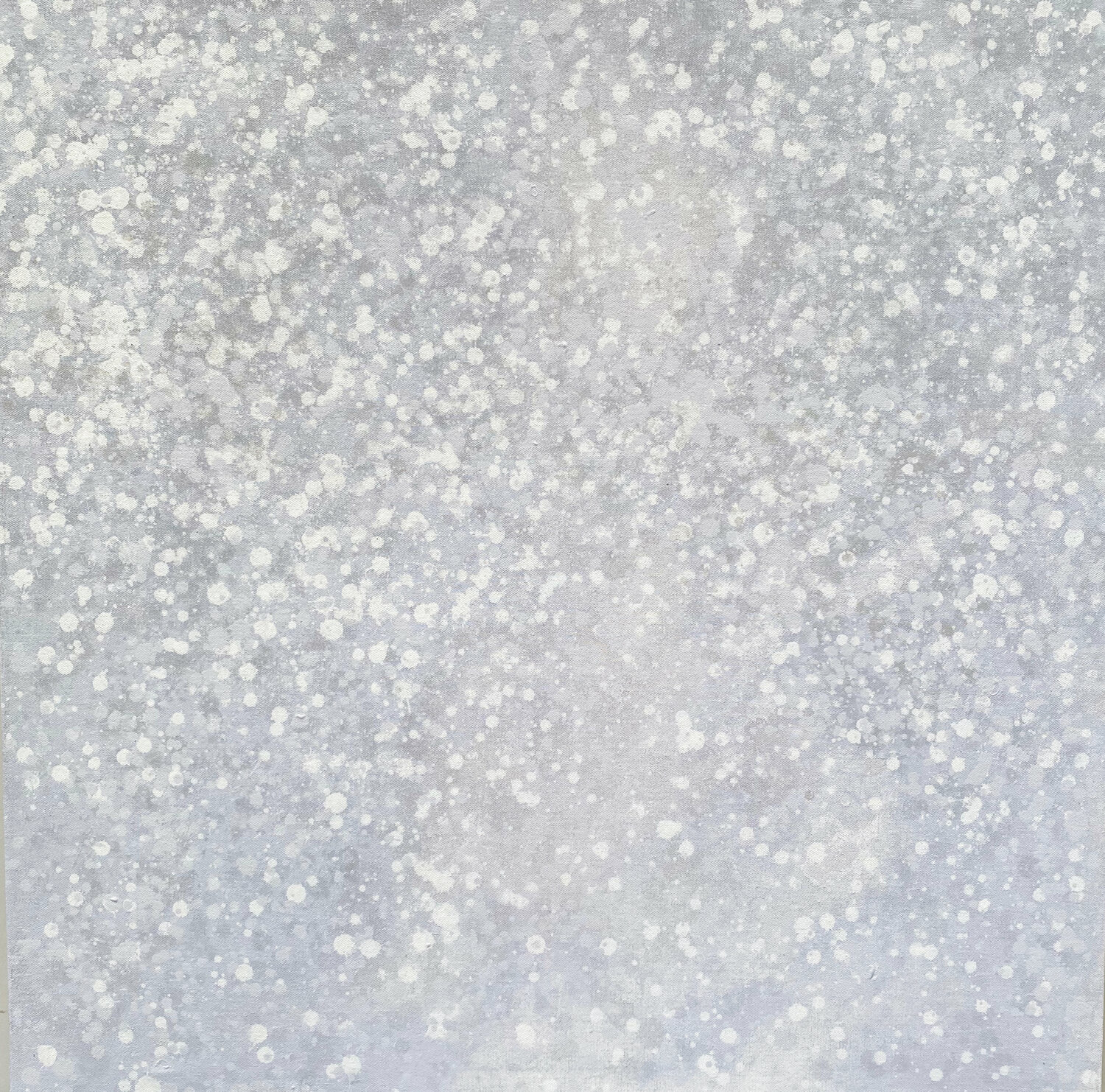 Its Snowing Mist Kathleen Rhee