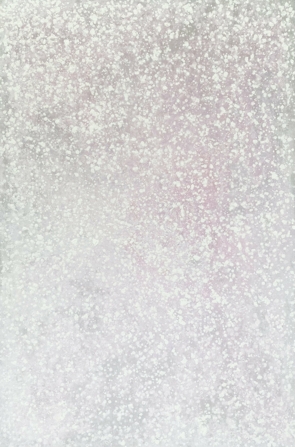 Its Snowing Pink Kathleen Rhee