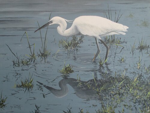 642 Little Egret di Ron Waldeck, Pittura in vendita su Singulart