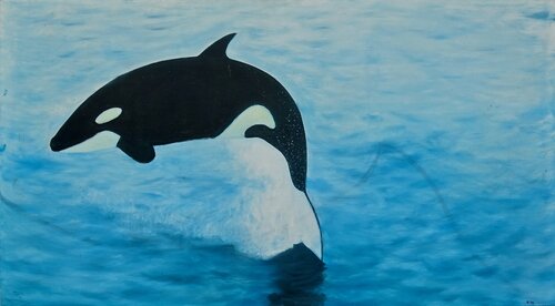 Orca van Iso Decleer, Schilderij te koop op Singulart