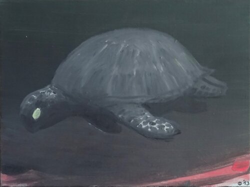 Cheloiidae par Iso Decleer, Peinture en vente sur Singulart