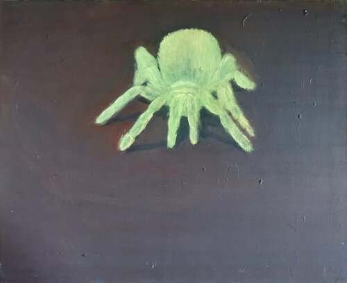 Green Tarantula van Iso Decleer, Schilderij te koop op Singulart