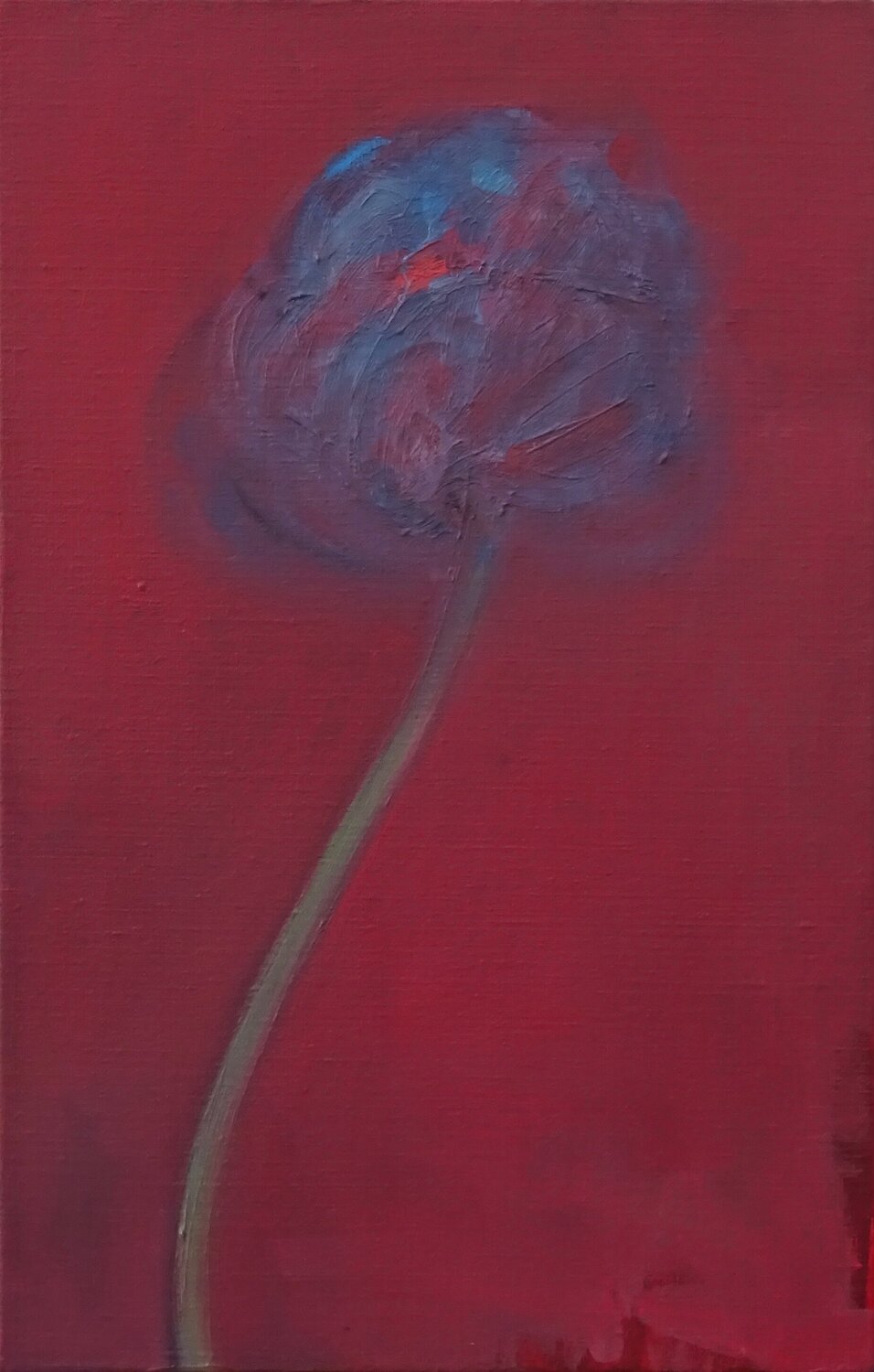 Blooming Iso Decleer