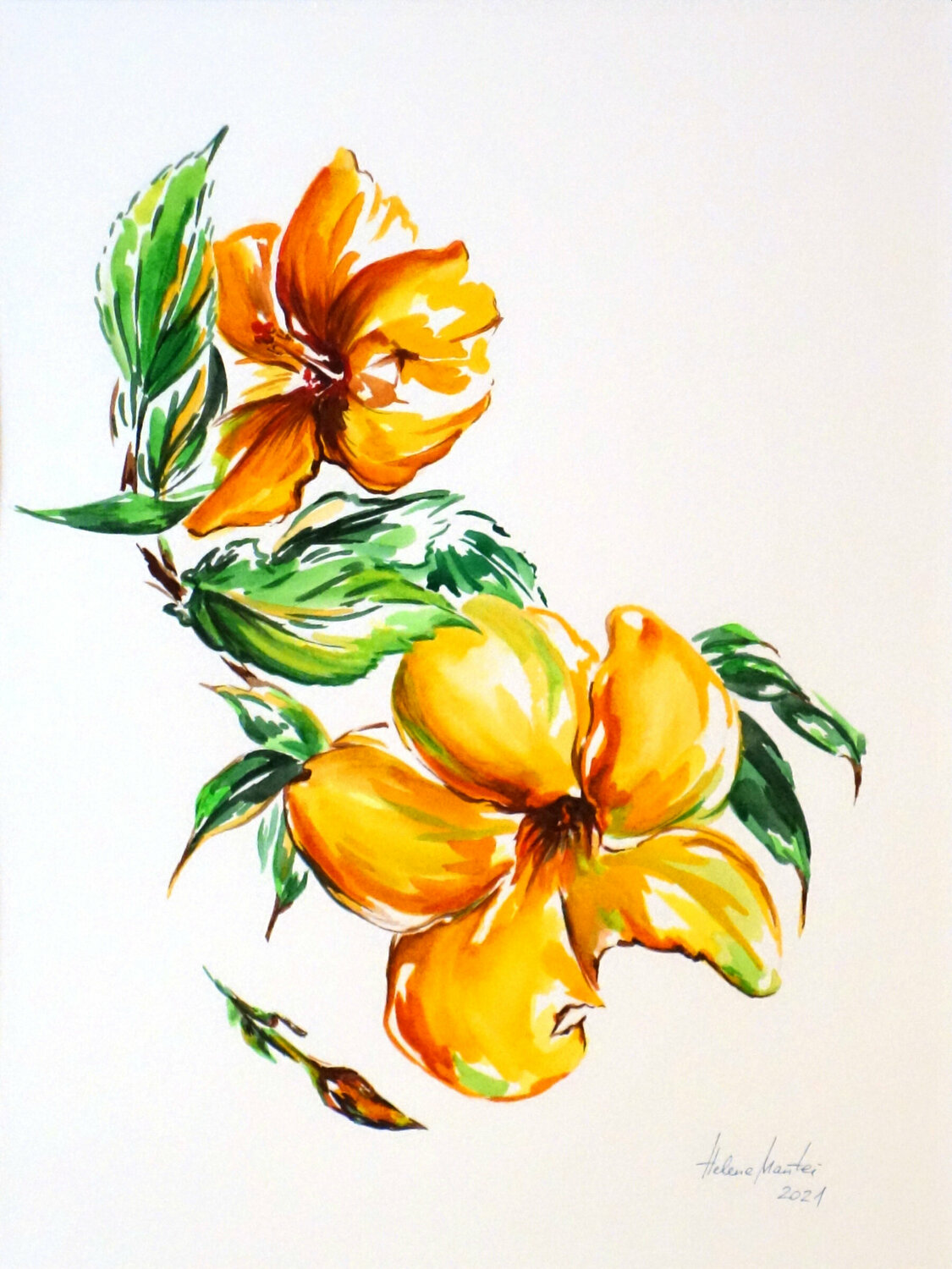 "Gelber Hibiskus" - Yellow hibiscus Helene Mantei Originalgemälde zu verkaufen