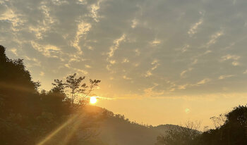 Dawn on the farm Quan Le
