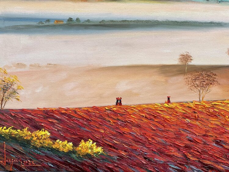 Dawn on the farm Quan Le