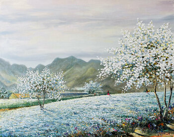 Cold sunny morning Quan Le