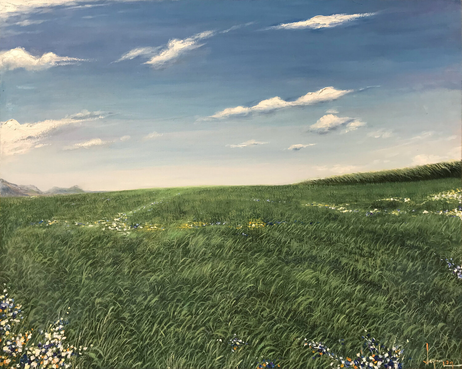 Green spring grassland Quan Le