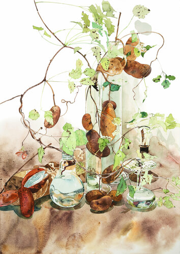 Akebi and Laboratory Tools von Ayako Tsuge, Malerei kaufen auf Singulart