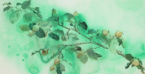 Quince Sunshine by Ayako Tsuge, Work on Paper for Sale on Singulart