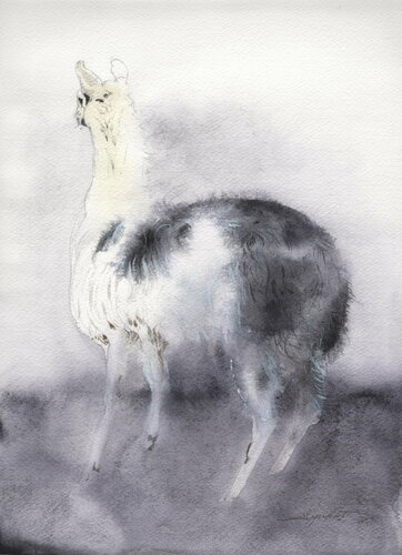 Llama I met in most north-part of Japan by Ayako Tsuge, Work on Paper for Sale on Singulart