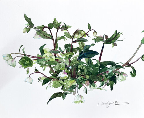 Winter Bell by Ayako Tsuge, Work on Paper for Sale on Singulart