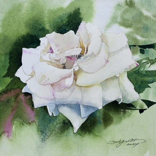 白い薔薇 von Ayako Tsuge, Malerei kaufen auf Singulart