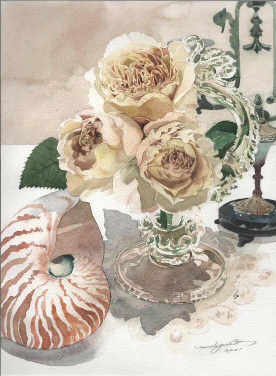 Rose Charlotte Perriand and Nautilus Shell Ayako Tsuge