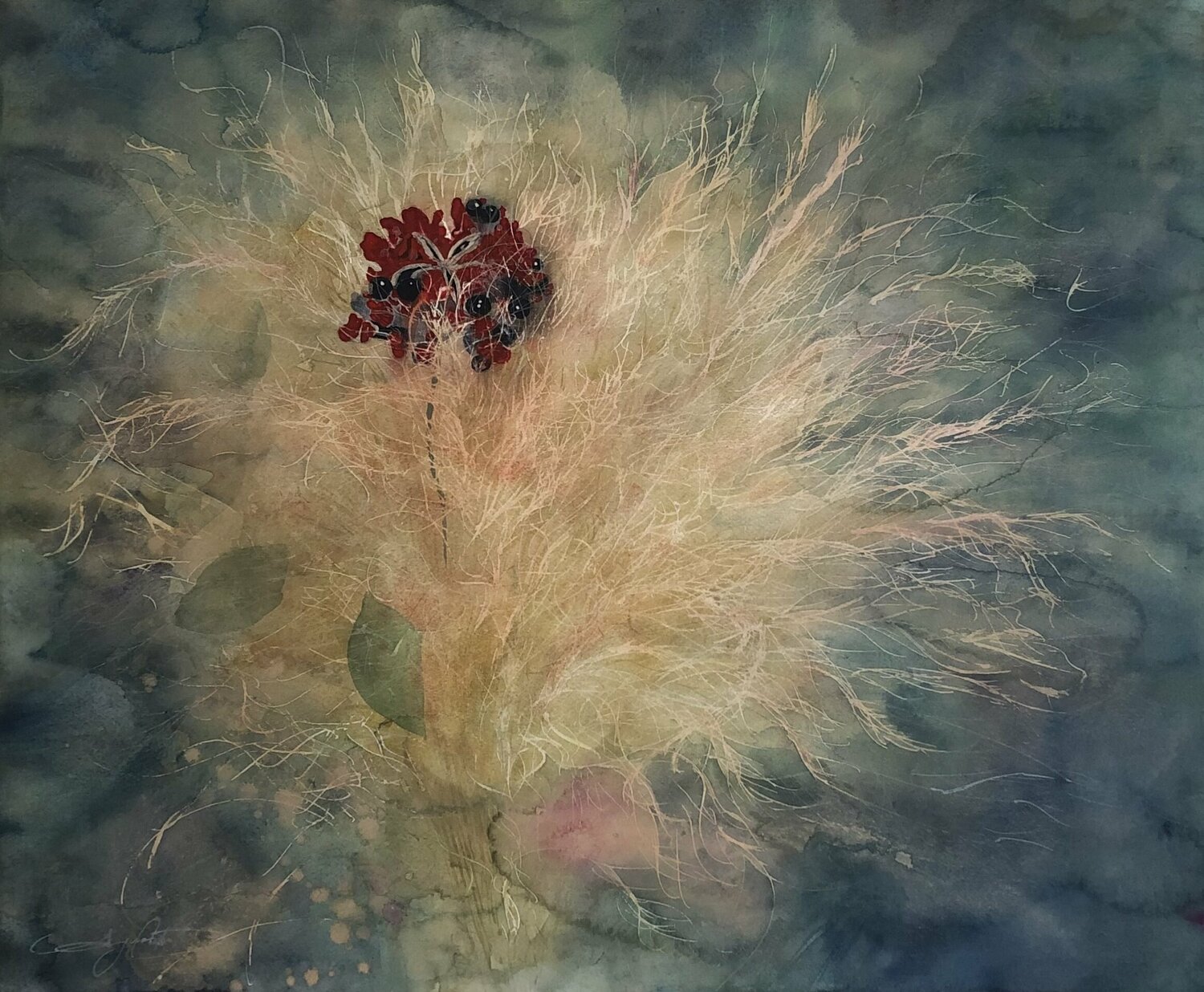 Paeonia japonica Ayako Tsuge