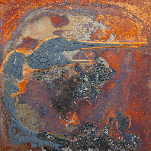 FE 90 Evolution von Ulea Wesemeyer, Fotografie kaufen auf Singulart