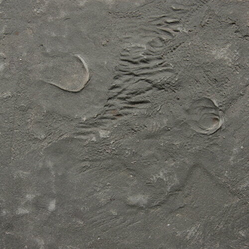 No. 16 van Ulea Wesemeyer, Schilderij te koop op Singulart