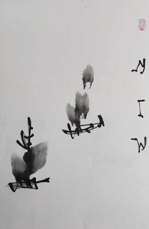 A thorough understanding of life Min Zou