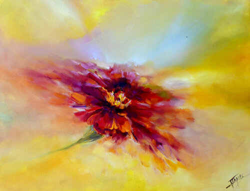 Controversia Isabel Tapias