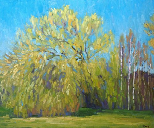 Spring landscape Yuanyuan Liu